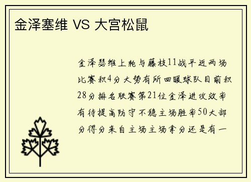 金泽塞维 VS 大宫松鼠