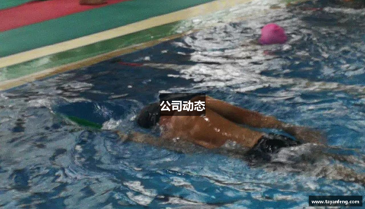 公司动态